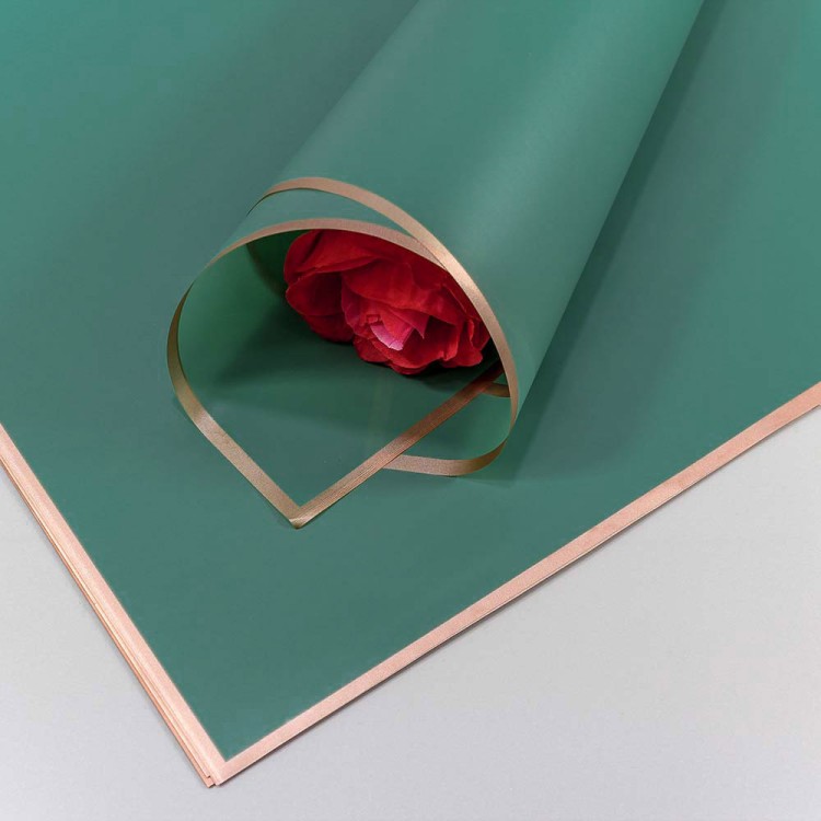 1640/4164 Плёнка в листах 58*58 (20 шт.) матовая с золотым краем 50мкм Синевато-зелёный 1/60 1640/4164 Плёнка в листах 58*58 (20 шт.) матовая с золотым краем 50мкм Синевато-зелёный 1/60