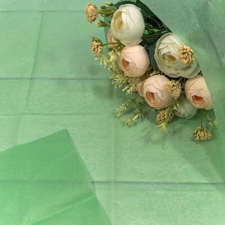 000100/21 Бумага в листах "Тишью" 50*66 (10 шт.) Светло-зелёный 1/250 