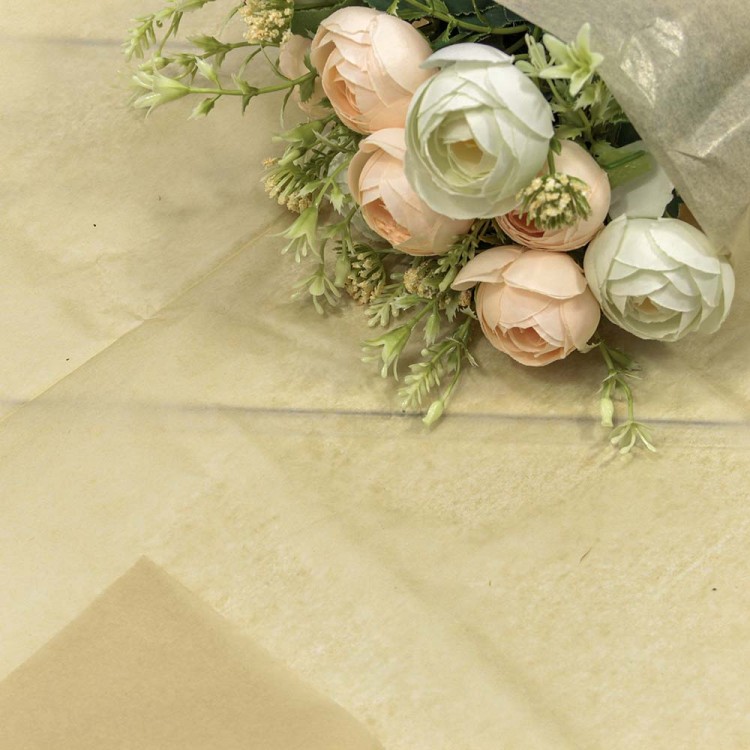 000100/33 Бумага в листах "Тишью" 50*66 (10 шт.) Тёмно-бежевый 1/250