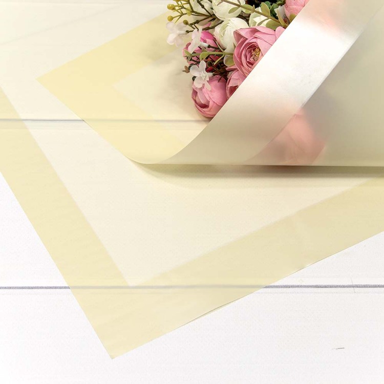 1669/0131 Плёнка в листах 58*58 (20 шт.) матовая с широкой рамкой 50мкм Песочный 1/60 1669/0131 Плёнка в листах 58*58 (20 шт.) матовая с широкой рамкой 50мкм Песочный 1/60