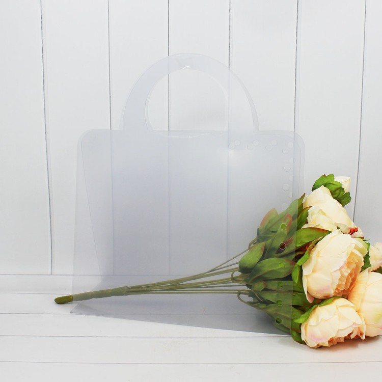 552675 Сумка-переноска дизайнерская прозрачная №1 30*25*12 1/10