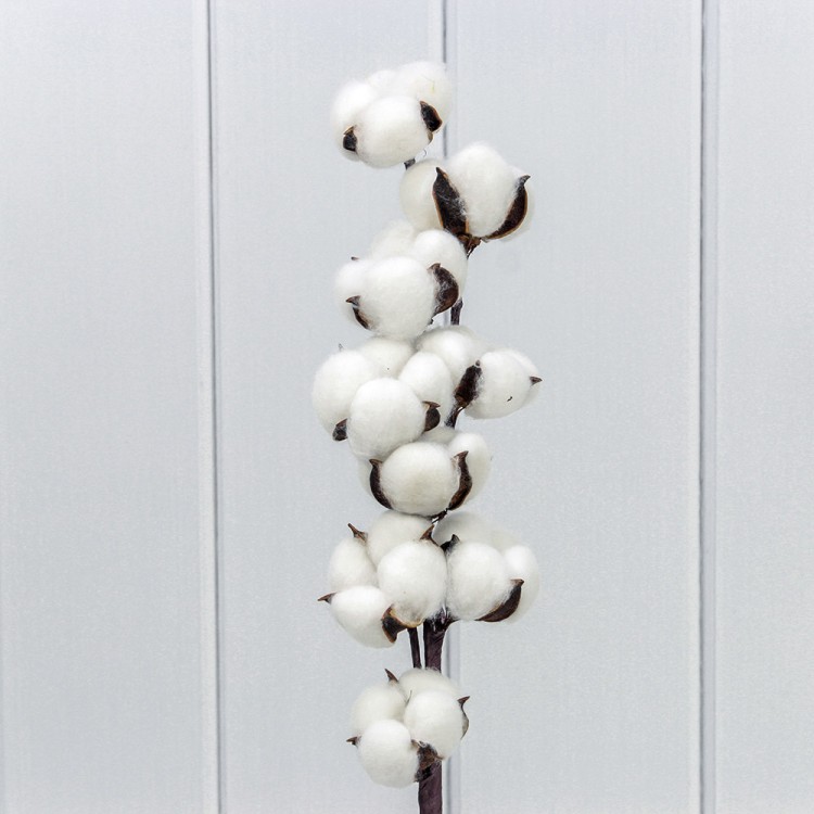 420064/1 Сухоцвет "Хлопок" 65см Белый 1/20 1/200 420064/1 Сухоцвет "Хлопок" 65см Белый 1/20 1/200