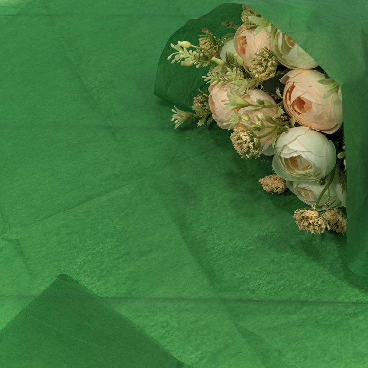 000100/10 Бумага в листах "Тишью" 50*66 (10 шт.) Зелёный 1/250