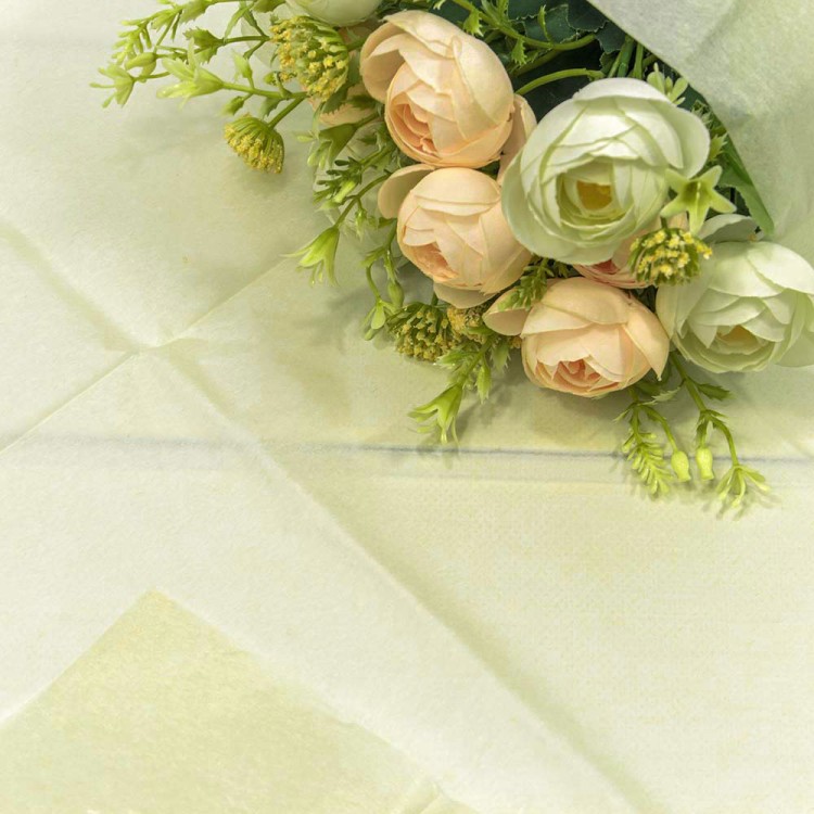 000100/31 Бумага в листах "Тишью" 50*66 (10 шт.) Бежевый-2 1/250