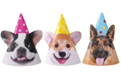 1501-6969 Колпаки Собачки фотографичные 6шт