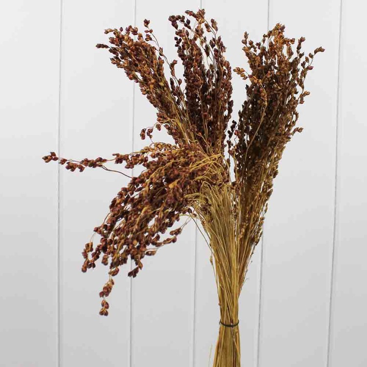 65128 Изделие декоративное Сорго веничное 70 см