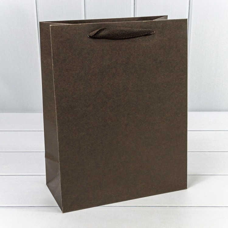 000186C Пакет подарочный Крафт Коричневый 25,5*33*12,5 230г 1/20 1/240