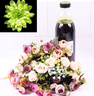 1400012 Краска для живых цветов Фисташковая 1 л 1/1