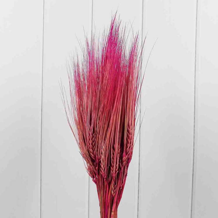 71552 Изделие декор. Ячмень окрашенный Розовый 65 см 